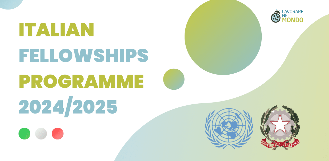 UN Fellowships Programme 2024 2025